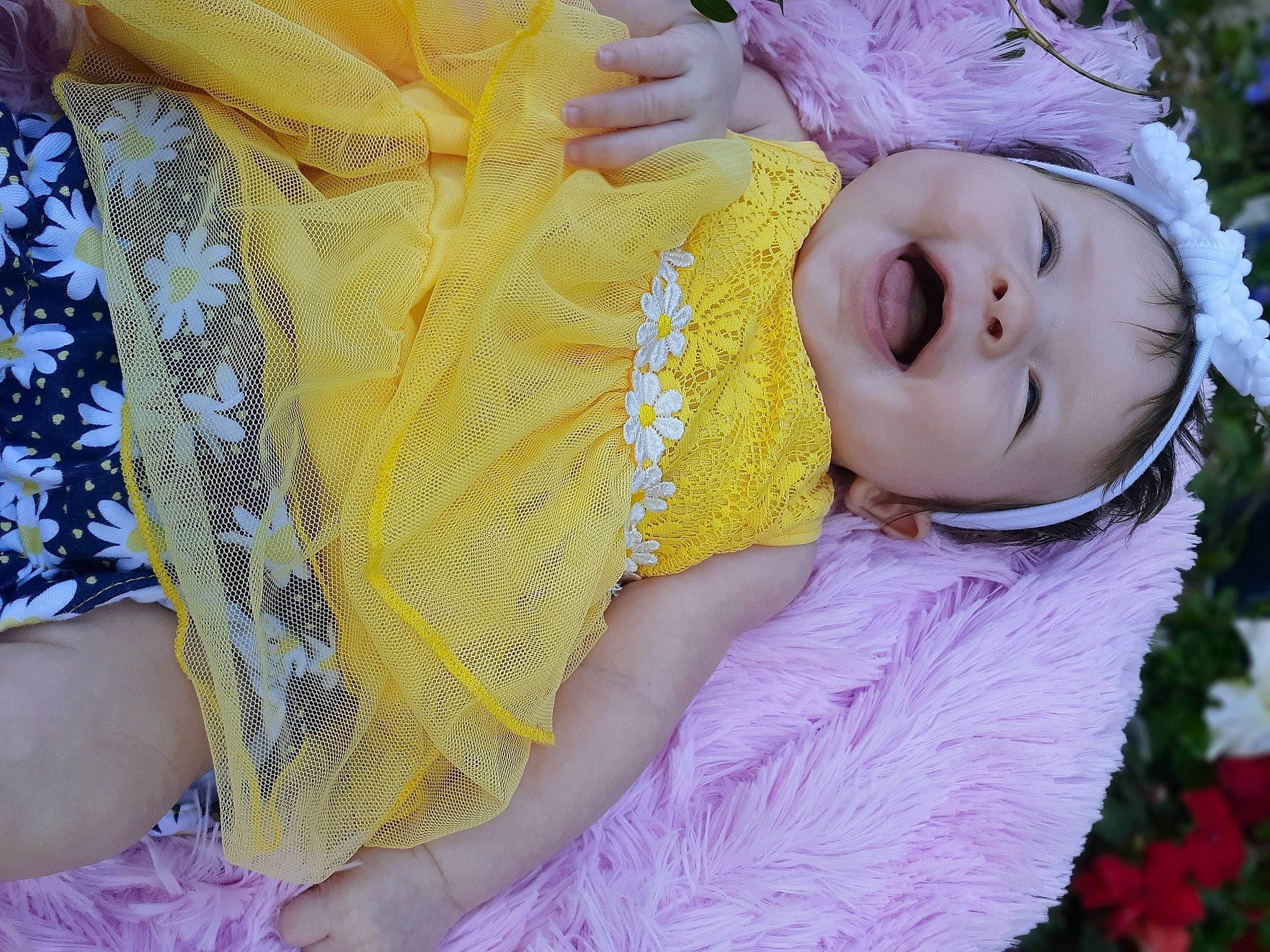 Molly is registered to the contest to win money with this photo: baby, child, headwear, lavender, person, pink, purple, toddler, yellow