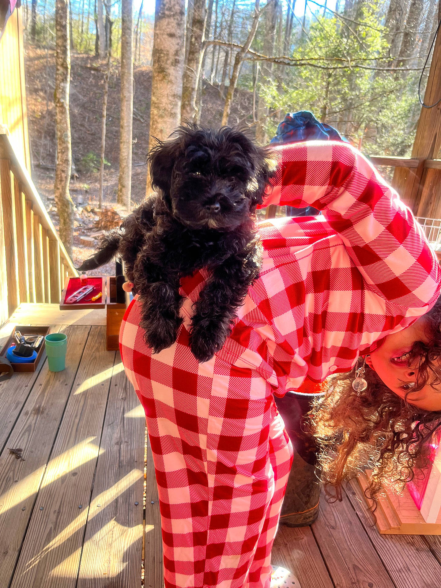 animal, black_dog, casual, curly_hair, cute, daylight, dog, forest, fun, nature, outdoor, person, pet, playful, porch, red_checkered_clothing, smiling, sunlight, trees, wooden_floor