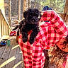 dog, black_dog, person, red_checkered_clothing, outdoor, porch, wooden_floor, forest, trees, sunlight, curly_hair, playful, pet, casual, smiling, daylight, nature, fun, cute, animal