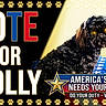advertisement, american_flag, animal, background, banner, black_dog, call_to_action, campaign_poster, dog, glowing_eyes, molly, patriotic, paw_prints, pet, political, red_white_blue, spotlight, stars, text_overlay, vote