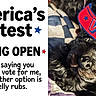 animal, banner, black_dog, close_up, contest, cute, dog, face, fur, humor, indoor, lying_down, nose, paw, pet, quilted_blanket, resting, sleepy, text_overlay, voting