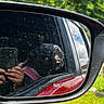 black_dog, candid, car, closeup, daylight, dog, dust, greenery, hand, nature, outdoor, pet, phone, pink_collar, reflection, reflection_glass, side_mirror, travel, vehicle, window