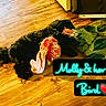 animal, bird_toy, black_dog, carpet, colorful_toy, cute_pet, dog, domestic_animal, flooring, home, indoor, living_room, pet, pet_toy, playful, plush_toy, relaxing, rug, toy, wooden_floor