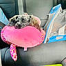 dog, sleeping, plush_pillow, pink, car_seat, pet_carrier, mesh, resting, cozy, fur, animal, travel, interior, seatbelt, napping, cute, pet, domestic_animal, leisure, comfort