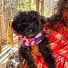 puppy, dog, black_dog, scarf, person, red_shirt, checkered, smile, outdoor, porch, wooden_floor, trees, sunlight, holding, pet, cute, fur, neckwear, happy, young_person