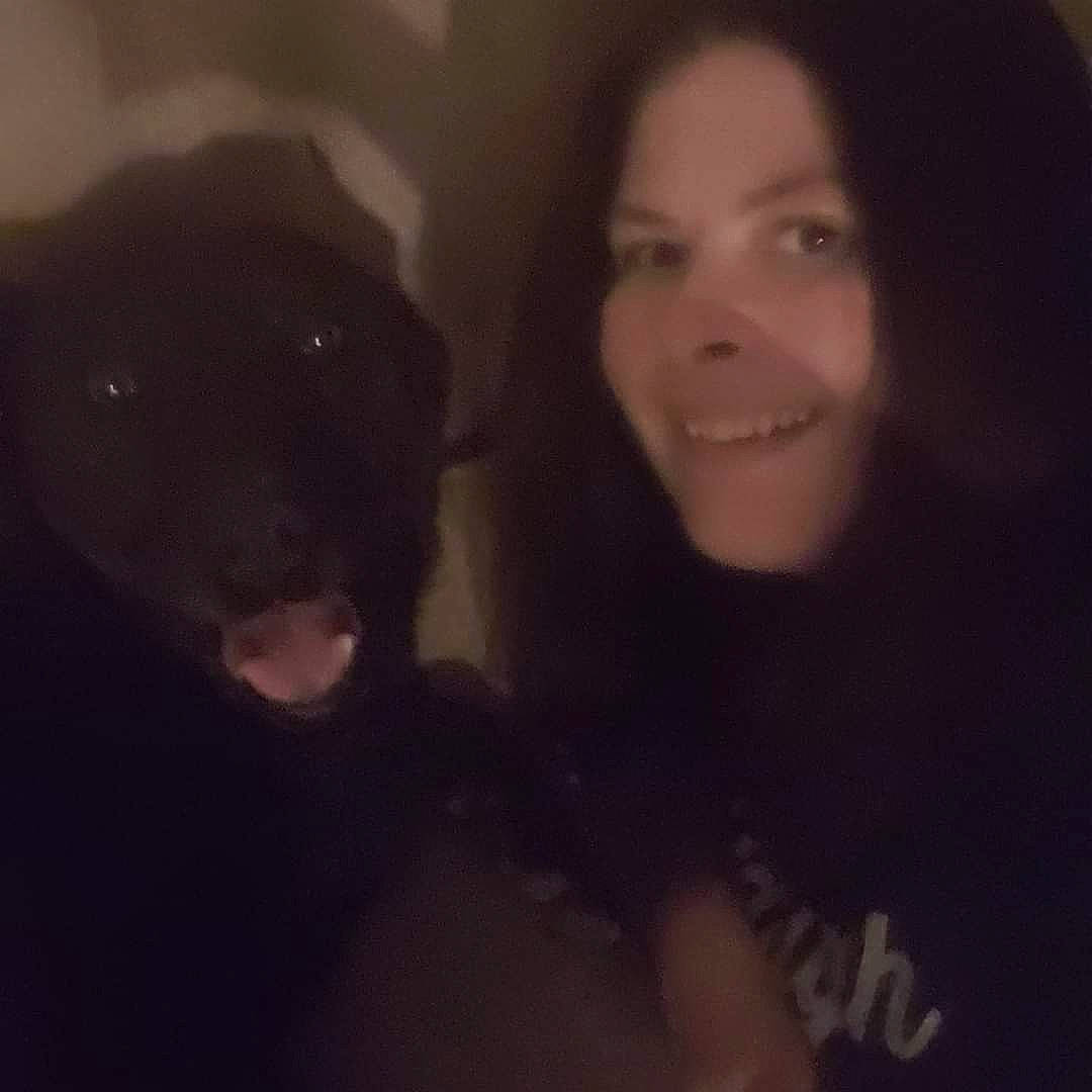 Chelsea is registered to the contest to win money with this photo: carnivore, companion_dog, darkness, dog, dog_breed, flash_photography, fur, guard_dog, happy, iris, jaw, layered_hair, long_hair, midnight, night, nose, selfie, smile, sporting_group, working_animal