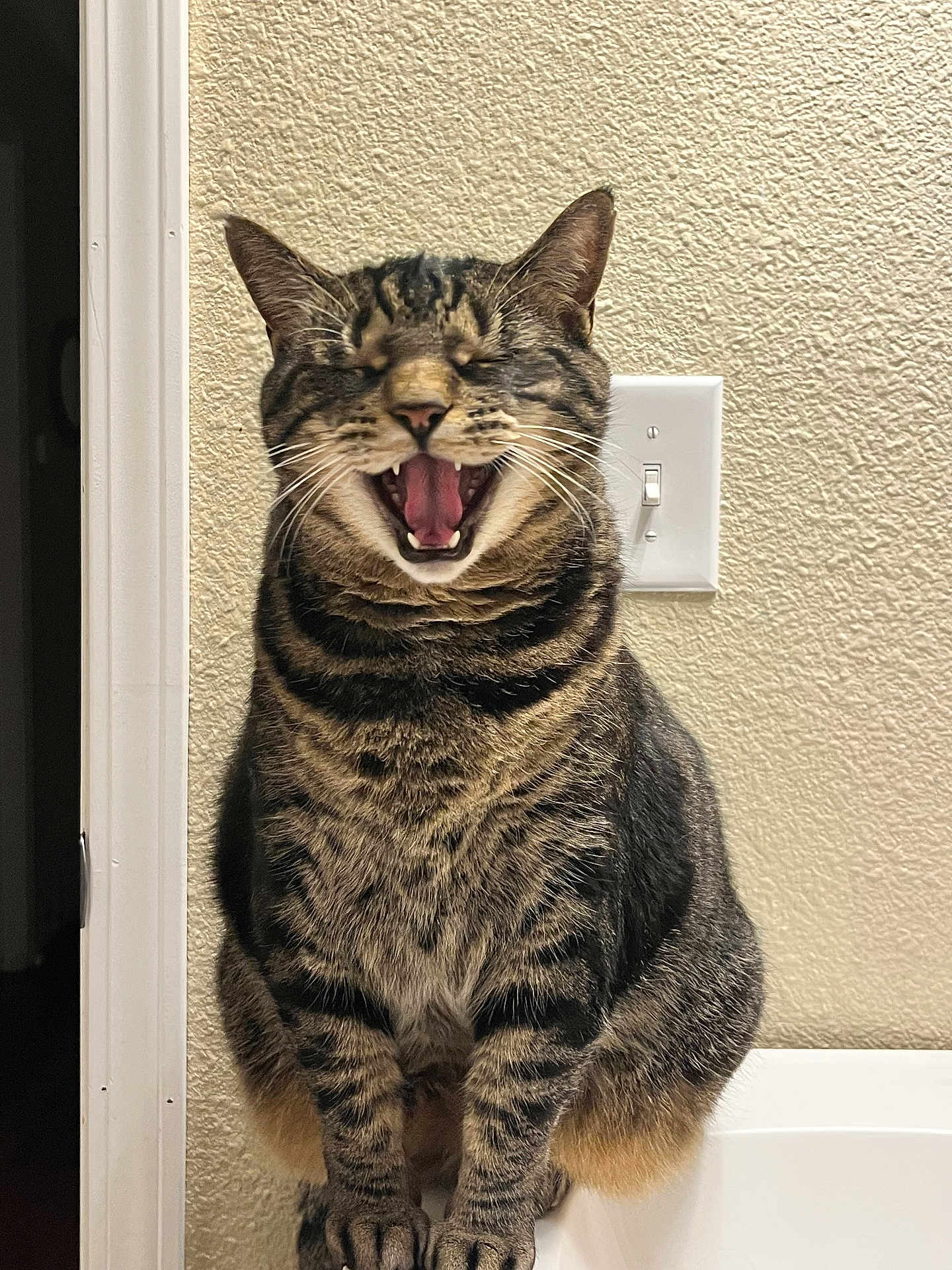 Lily