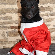 Krokmou participe au concours pour gagner de l'argent avec cette photo :