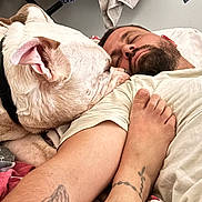 Urus participe au concours pour gagner de l'argent avec cette photo : dog, man, sleeping, tattoo, leg, foot, blanket, towel, bedroom, resting, closeup, indoors, relaxing, casual, comfort, pet, animal, human, skin, facial_hair