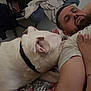 Urus a rejoint le concours — aidez-le/la à gagner de superbes lots ! man, dog, indoor, blanket, tattoo, resting, casual, relaxed, home, furniture, shelf, clothing, beard, ear, paw, collar, face, arm, tattooed_arm, comfort