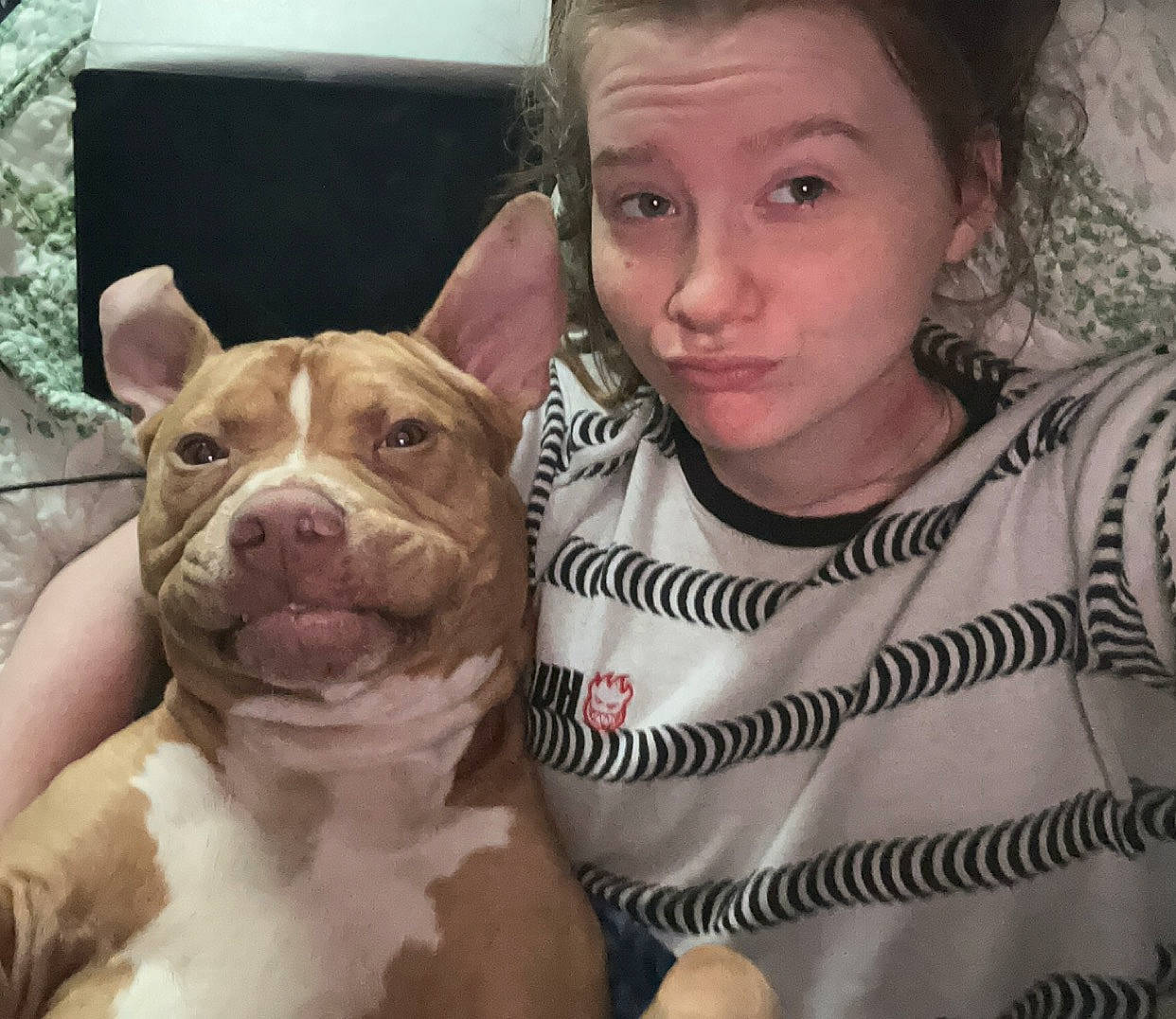 Gus joined the competition — help win amazing prizes! canidae, carnivore, companion_dog, dog, dog_breed, ear, fawn, fur, happy, jaw, nose, puppy_love, selfie, skin, snout, sporting_group, t_shirt, whiskers, working_animal, wrinkle