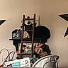 Shadow And Smoky is registered to the contest to win money with this photo: beige_wall, black_cat, box, cat, chair, decor, doll, domestic, fabric, figurine, household_items, indoor, light, quiet, shadow, shadow_play, still_life, table, toy, wooden_ladder