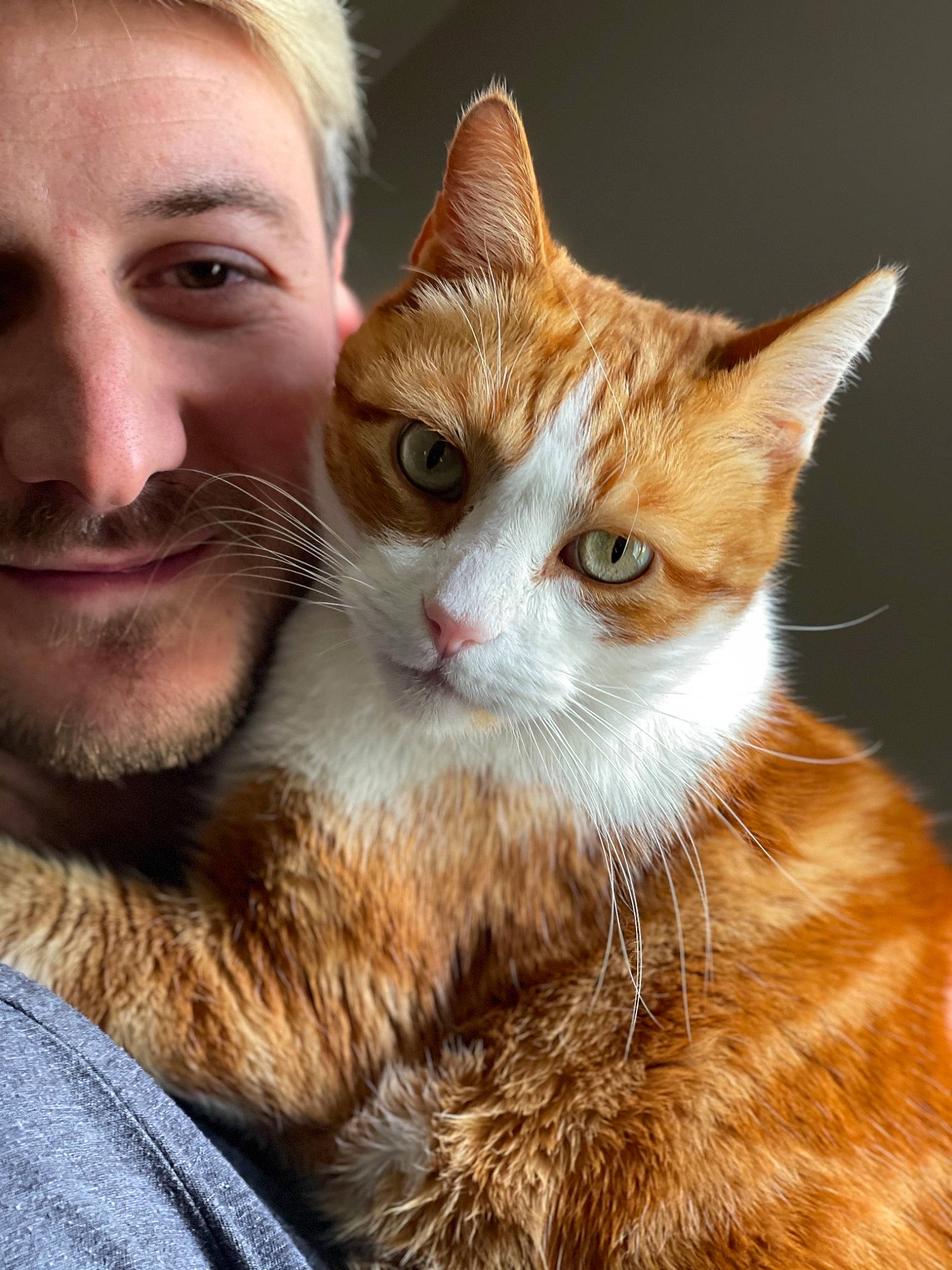 Moumousse participe au concours pour gagner de l'argent avec cette photo : beard, carnivore, cat, ear, eye, fawn, felidae, gesture, hair, happy, head, iris, mammal, nose, small_to_medium_sized_cats, smile, snout, vertebrate, whiskers, window