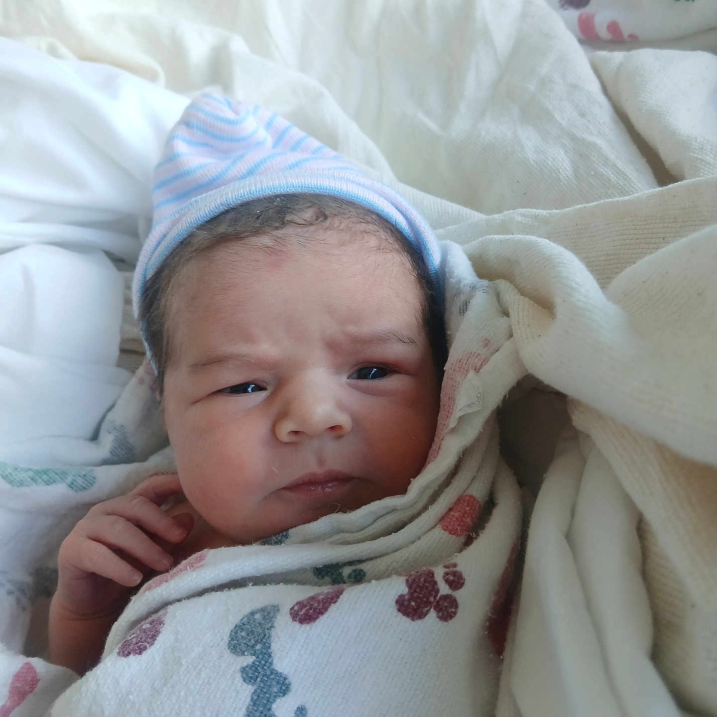 Leeilah joined the competition — help win amazing prizes! baby, blanket, child, comfort, cozy, cute, expression, face, footprint_pattern, hand, hat, indoors, infant, newborn, newborn_baby, portrait, skin, sleepwear, soft, wrapped