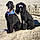Cheyenne And Bryson