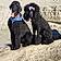 Cheyenne And Bryson