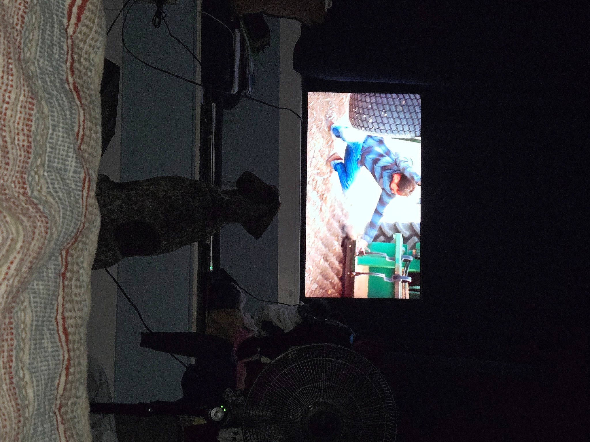 Annabelle joined the competition — help win amazing prizes! art, darkness, display_device, entertainment, event, font, glass, machine, magenta, multimedia, performance, performance_art, performing_arts, projection_screen, projector_accessory, room, shadow, space, visual_arts