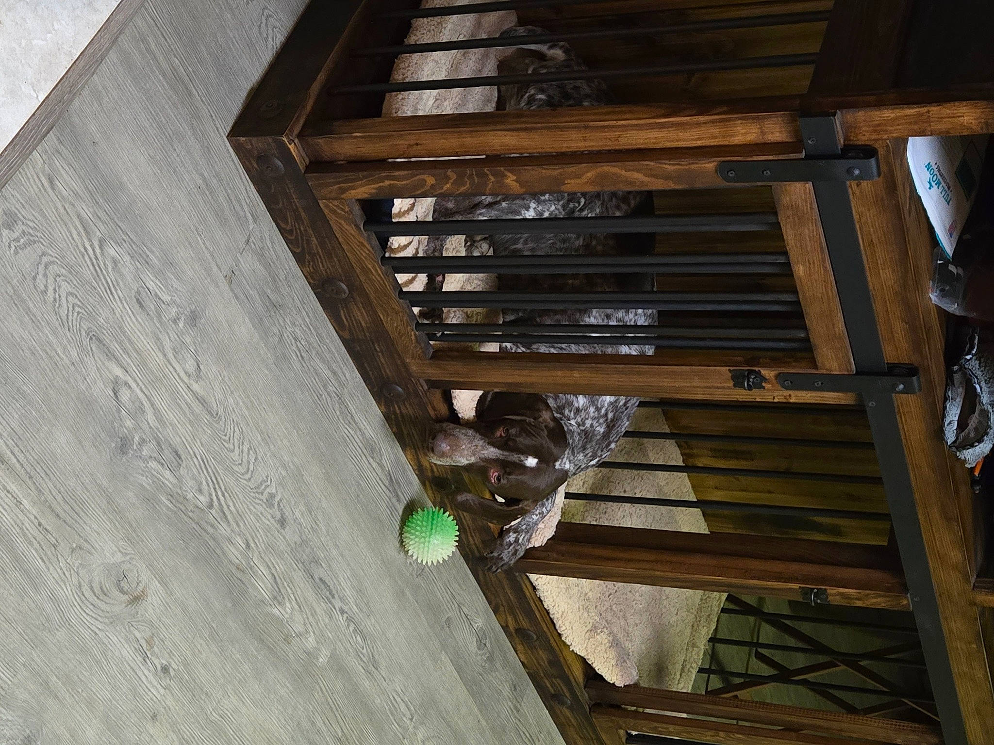 Annabelle is registered to the contest to win money with this photo: beam, building, building_material, ceiling, composite_material, daylighting, facade, fixture, handrail, hardwood, house, lumber, metal, plank, roof, room, stairs, window, wood, wood_stain