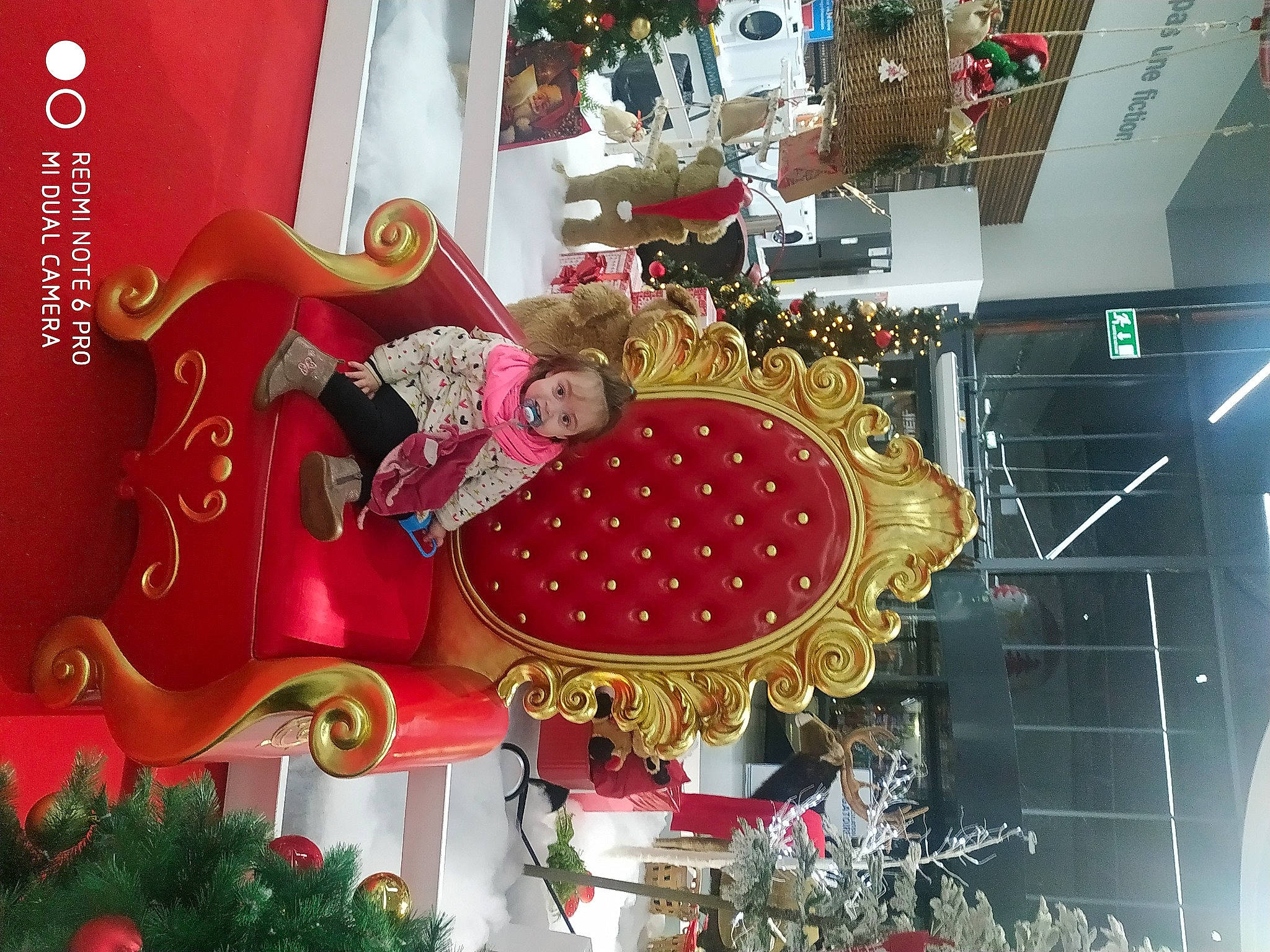 Judite a rejoint le concours — aidez-le/la à gagner de superbes lots ! carmine, christmas, christmas_decoration, christmas_eve, christmas_ornament, decoration, event, holiday, holiday_ornament, interior_design, ornament, person, petal, plant, red, retail, rose, snapshot, tradition, tree