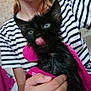 Berlioz a rejoint le concours — aidez-le/la à gagner de superbes lots ! kitten, cat, black_cat, wet_fur, pink_towel, striped_shirt, person, hand, bathroom, tile_wall, tongue_out, cute, pet, animal, young_cat, holding, indoor, closeup, feline, domestic_cat
