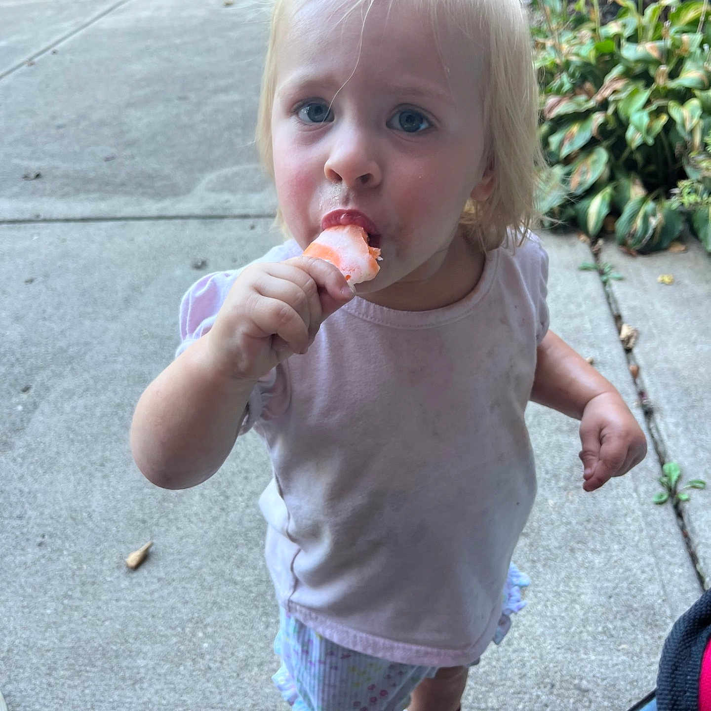 Emmi joined the competition — help win amazing prizes! blonde_hair, child, concrete, cute, daylight, dirty_clothes, outdoor, pink_shirt, plants, popsicle, portrait, shoes, shorts, sidewalk, snack, sparkly, standing, summer, toddler, young_child