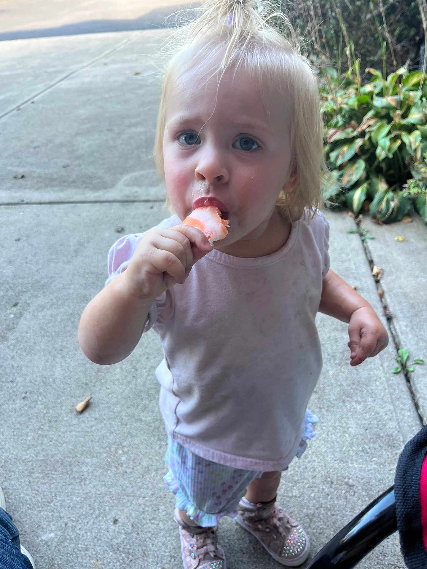 Emmi joined the competition — help win amazing prizes! toddler, child, popsicle, outdoor, sidewalk, blonde_hair, pink_shirt, shorts, shoes, sparkly, plants, concrete, summer, snack, dirty_clothes, standing, cute, portrait, young_child, daylight