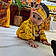 Panwar Rudransh