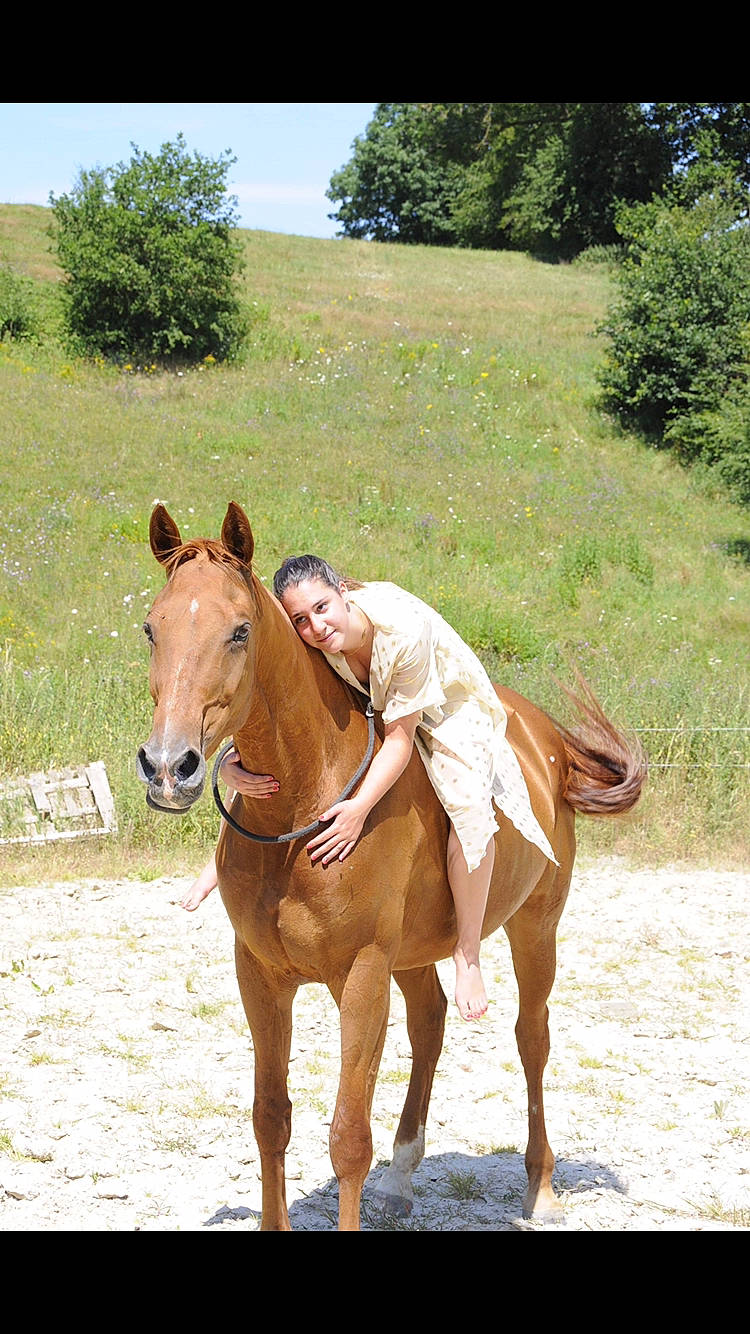 Evi a rejoint le concours — aidez-le/la à gagner de superbes lots ! ecoregion, equestrianism, horse, horse_supplies, landscape, livestock, mammal, mane, mare, mustang_horse, pack_animal, pasture, ranch, recreation, rein, sorrel, stallion, steppe, vertebrate, working_animal