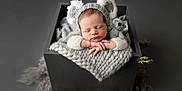 Alfie joined the competition — help win amazing prizes! newborn, baby, sleeping, koala_hat, knitted, blanket, stuffed_toy, box, soft_lighting, portrait, cute, infant, cozy, resting, hands_crossed, gray, fuzzy, studio, child, peaceful