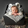 newborn, baby, sleeping, koala_hat, knitted, blanket, stuffed_toy, box, soft_lighting, portrait, cute, infant, cozy, resting, hands_crossed, gray, fuzzy, studio, child, peaceful