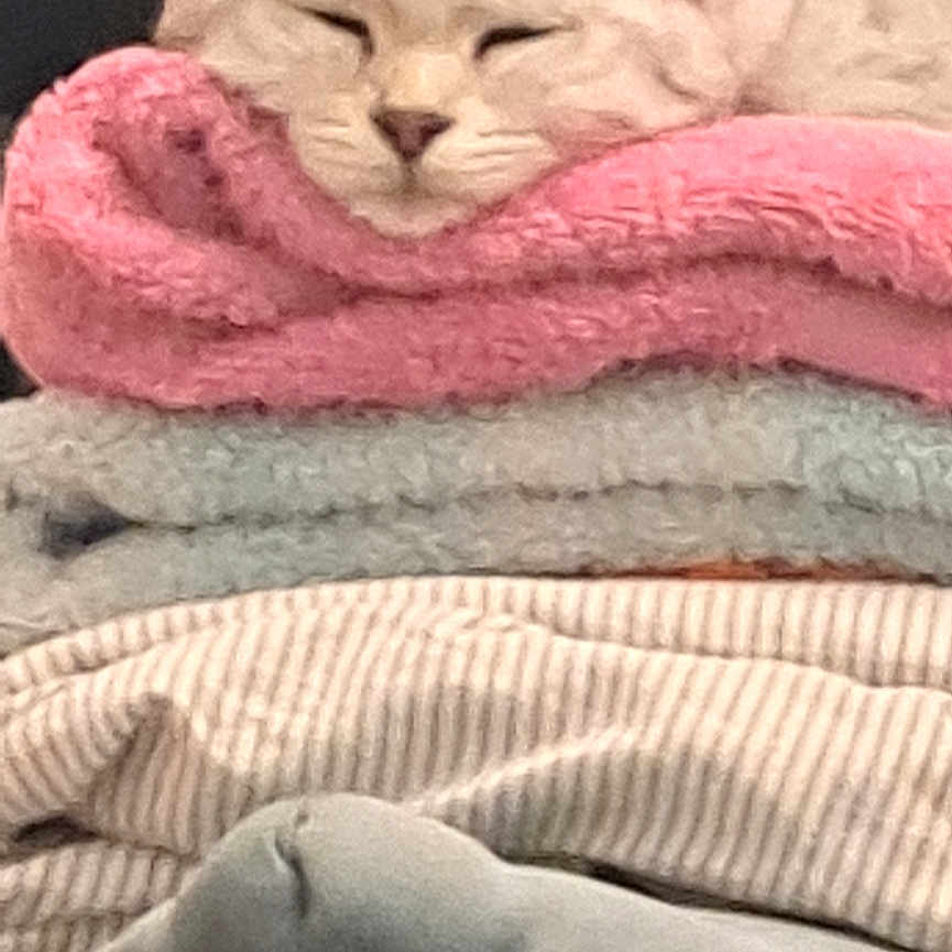 Chacha a rejoint le concours — aidez-le/la à gagner de superbes lots ! blanket, cat, comfort, cozy, ears, face, feline, folded_clothes, fur, gray, home, indoor, pet, pink, relaxation, resting, sleeping, soft_texture, stack, white