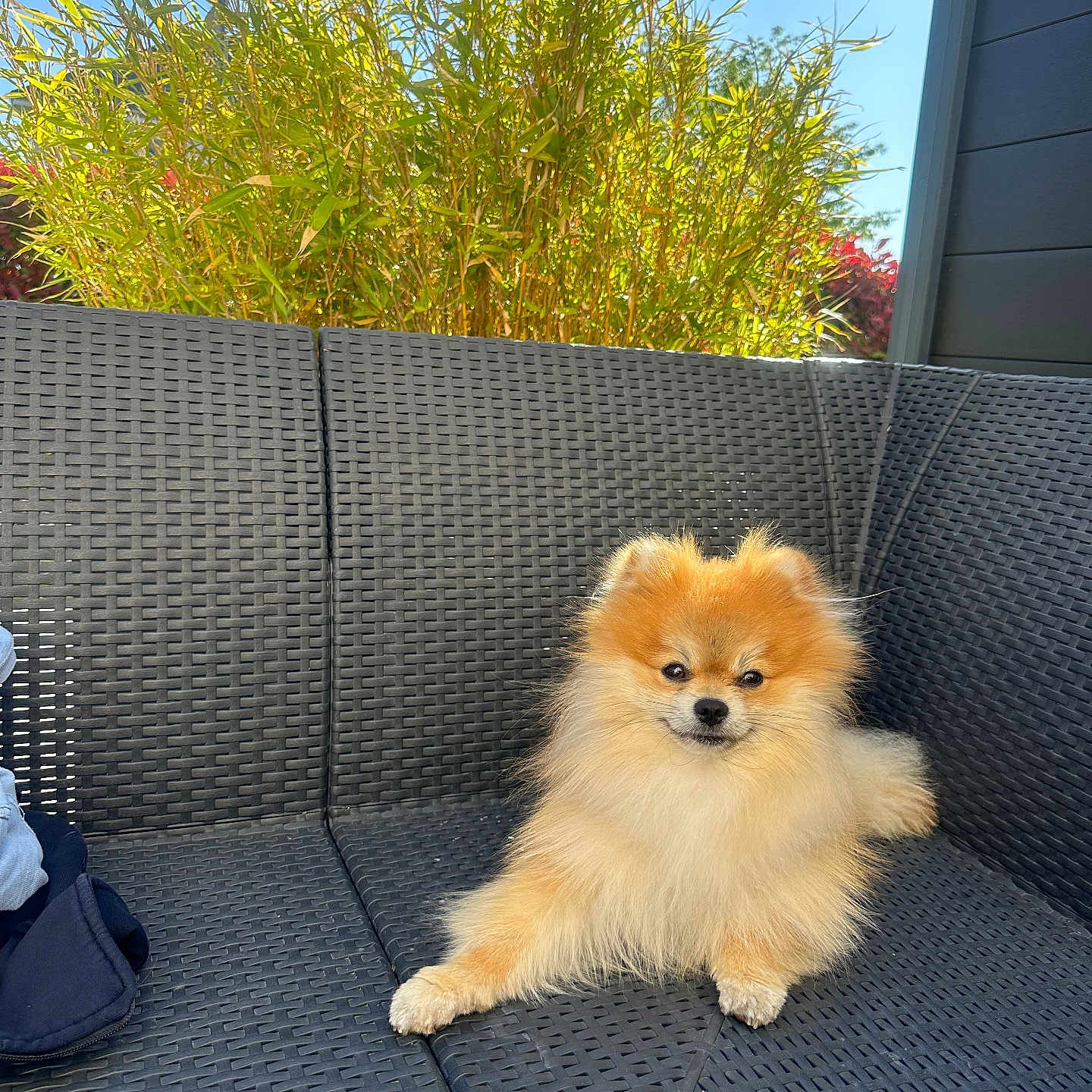 Maïlo
