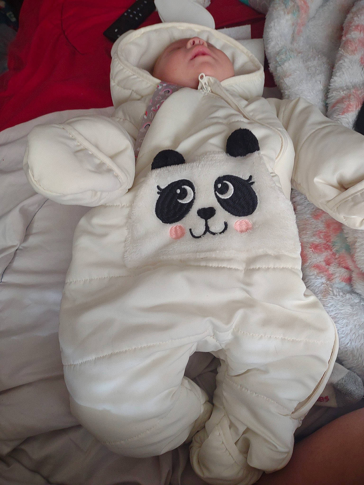 Angel joined the competition — help win amazing prizes! bed, bed_sheet, bedding, blanket, canidae, carmine, child, comfort, companion_dog, couch, fur, linens, person, plush, room, snout, stuffed_toy, toy