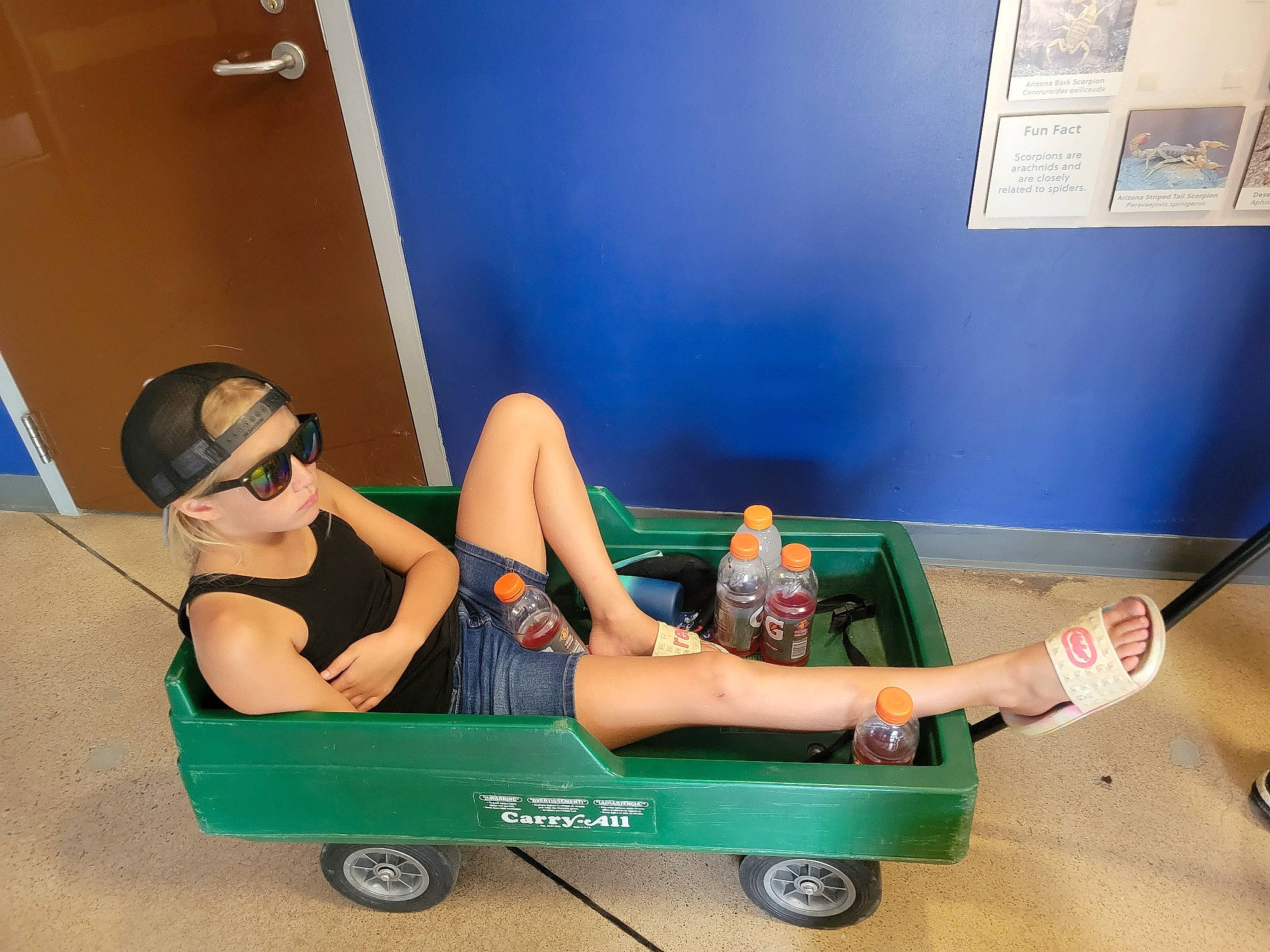 Naomi is registered to the contest to win money with this photo: automotive_design, automotive_exterior, automotive_wheel_system, electric_blue, fun, goggles, headwear, human_leg, knee, leg, leisure, motor_vehicle, person, picture_frame, rolling, sitting, thigh, tire, toy, toy_vehicle