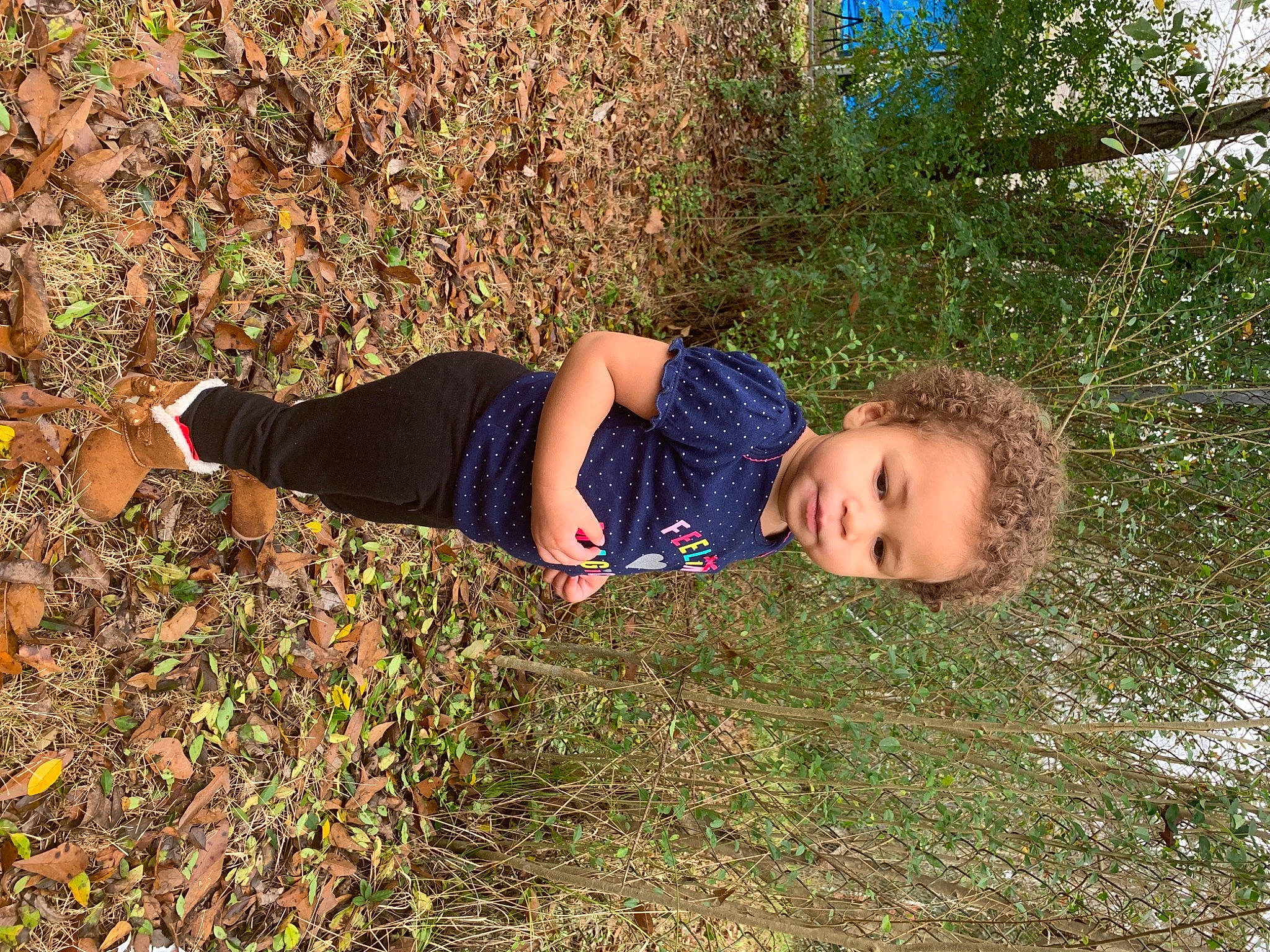 Marisol is registered to the contest to win money with this photo: electric_blue, forest, fun, grass, grass_family, grassland, happy, landscape, leisure, natural_landscape, people_in_nature, person, plant, sitting, soil, sunlight, toddler, tree, wilderness, wood