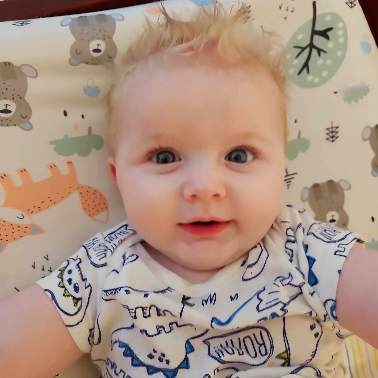 Lux is registered to the contest to win money with this photo: baby, blonde, bodypart, chair, clothing, cushion, face, finger, furniture, hair, hand, happy, head, homedecor, newborn, person, photography, portrait, smile, t_shirt