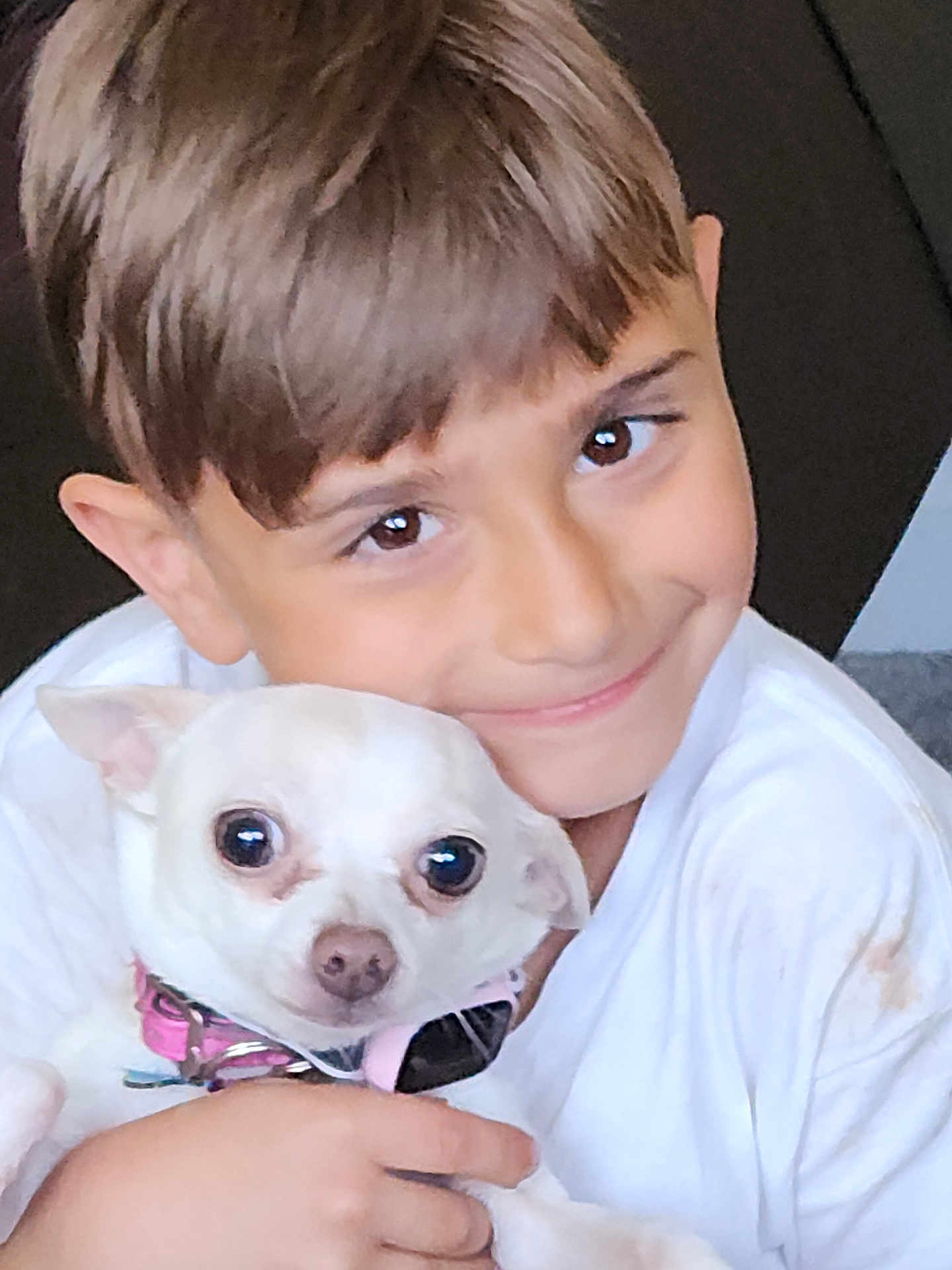 Skye is registered to the contest to win money with this photo: boy, child, dog, pet, white_dog, smiling, hugging, close_up, collar, indoor, cute, young, portrait, affection, friendship, happy, human_animal_bond, casual_clothing, short_hair, brown_eyes