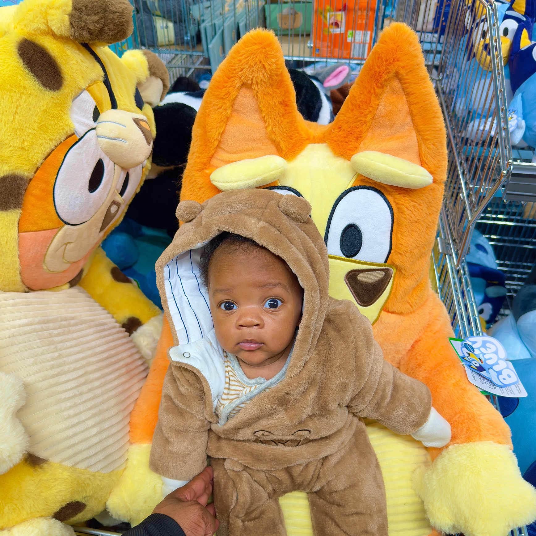 Malachi joined the competition — help win amazing prizes! animal_costume, baby, bear_onesie, cart, child, clothing, cute, expression, hand, indoors, orange_plush, person, plush_toy, seated, shopping_cart, soft_toy, stuffed_animal, toy_store, wide_eyes, yellow_plush