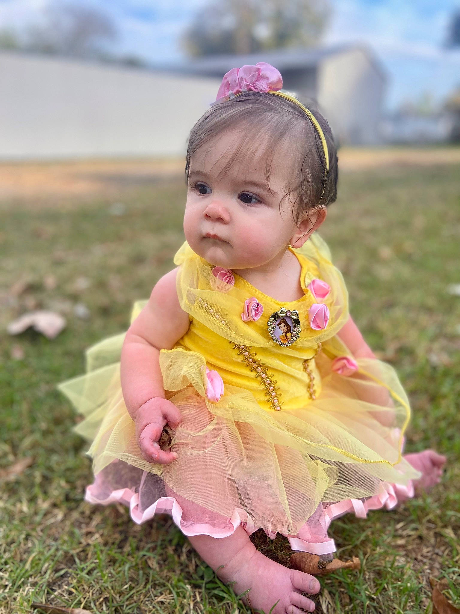 Isabella