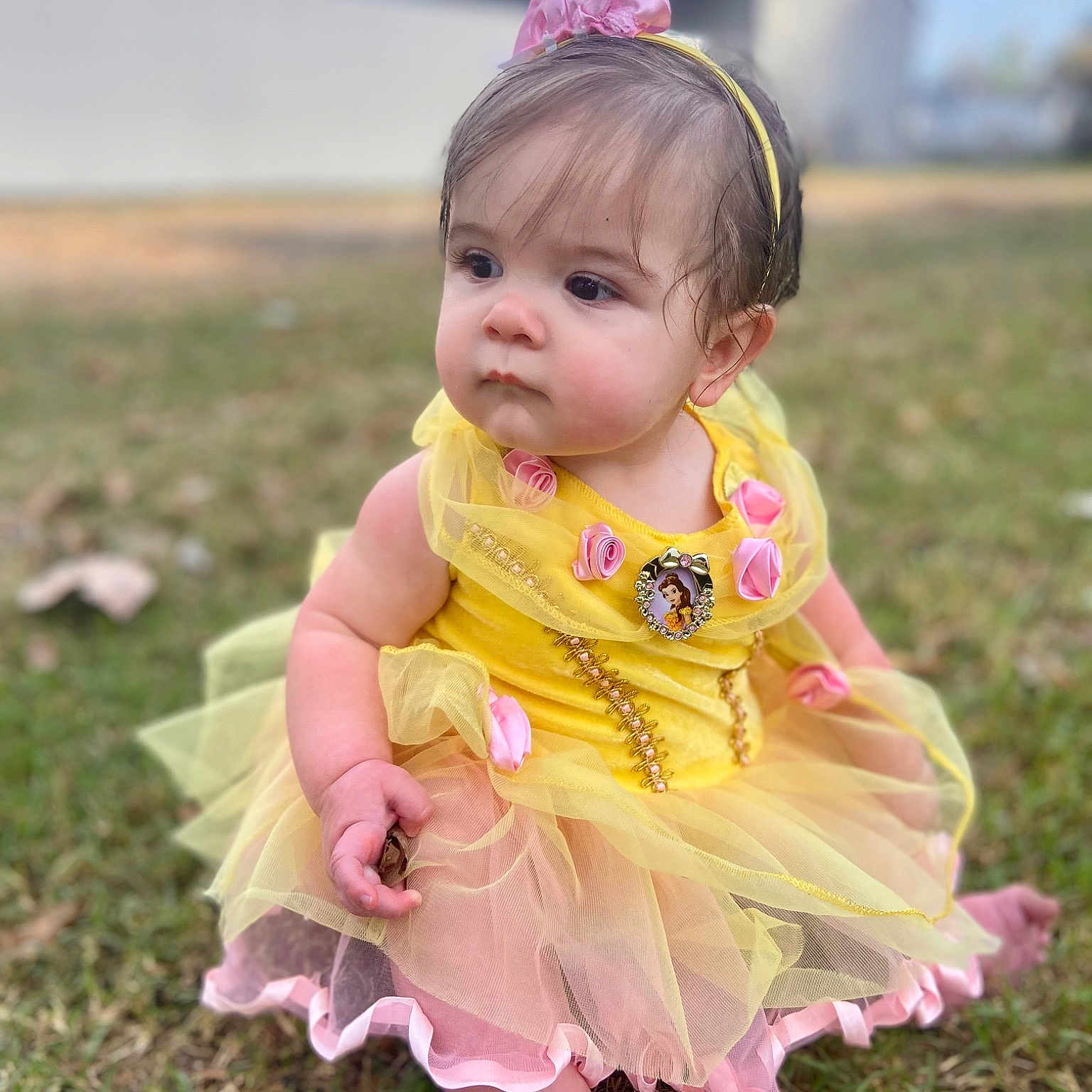 Isabella