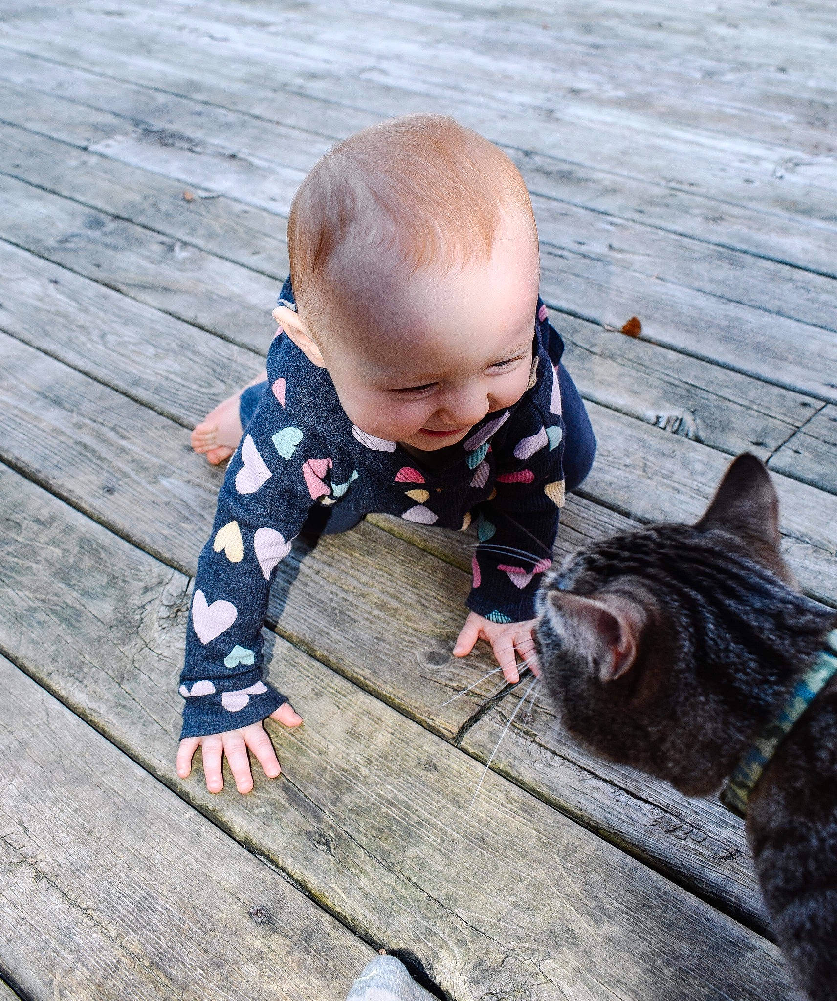Chloe joined the competition — help win amazing prizes! baby, baby_toddler_clothing, carnivore, cat, child, domestic_short_haired_cat, felidae, flooring, fur, grass, happy, people_in_nature, person, plant, sitting, small_to_medium_sized_cats, toddler, tree, whiskers, wood