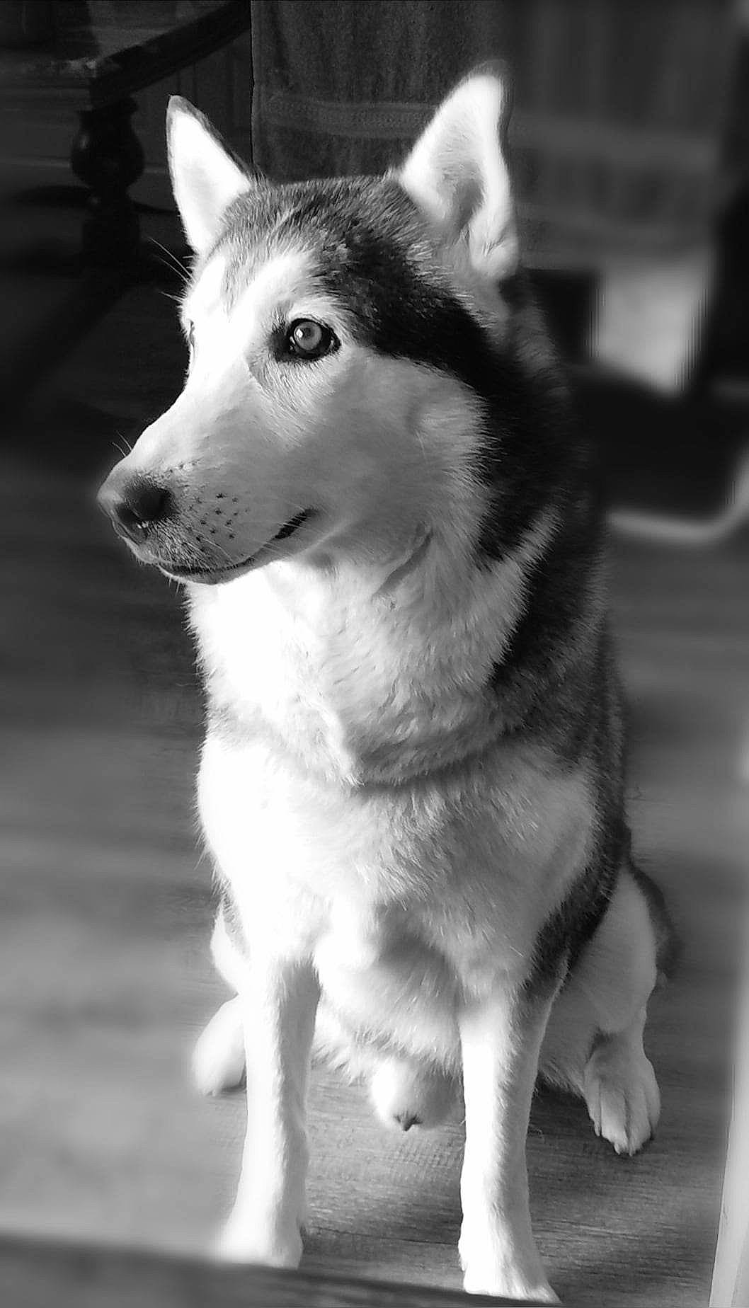 Ework
