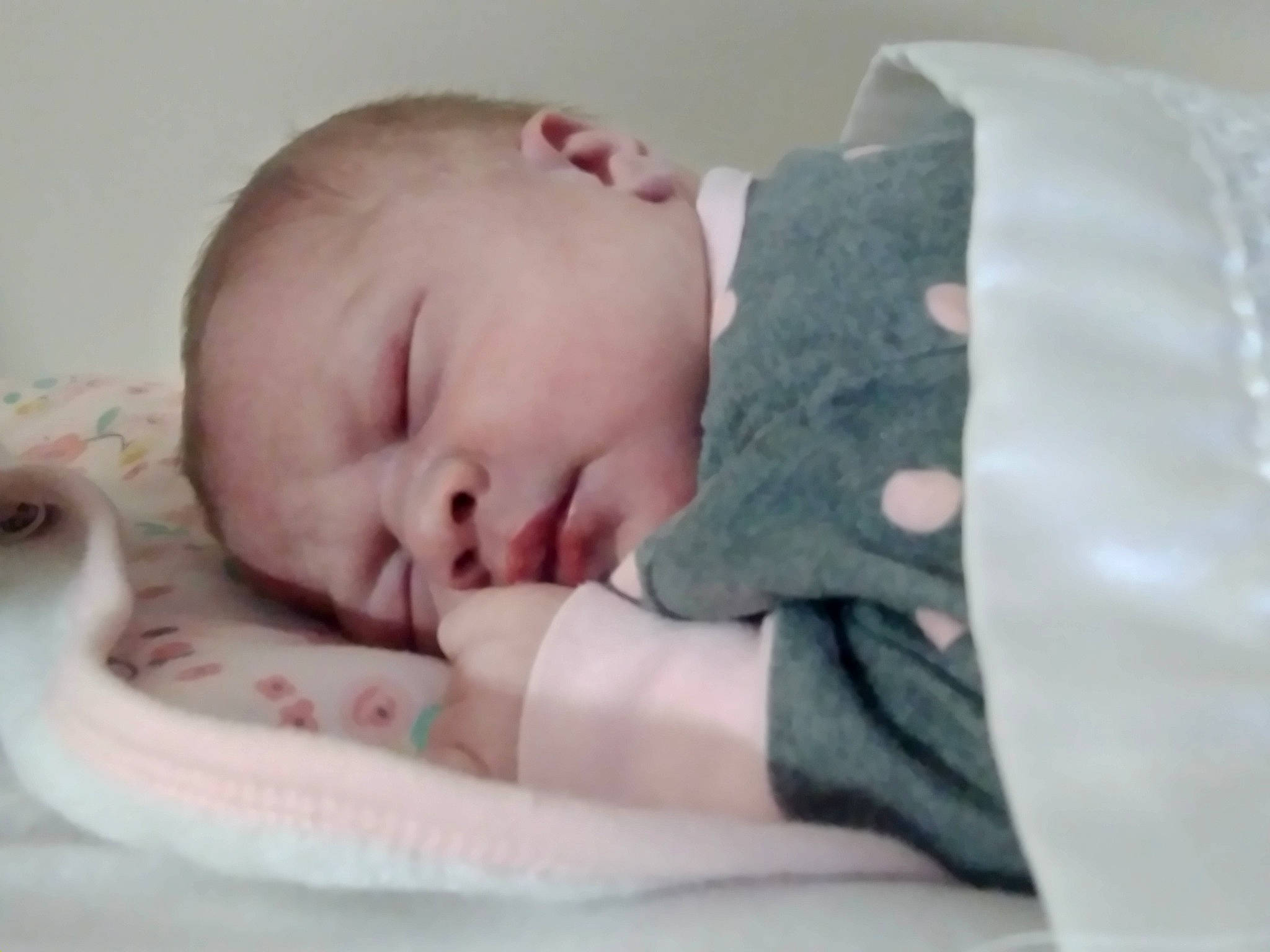 Alora joined the competition — help win amazing prizes! baby, baby_products, baby_sleeping, baby_toddler_clothing, bedtime, cheek, child, comfort, eyelash, linens, nap, pattern, person, portrait_photography, sitting, skin, sleep, sleeve, toddler