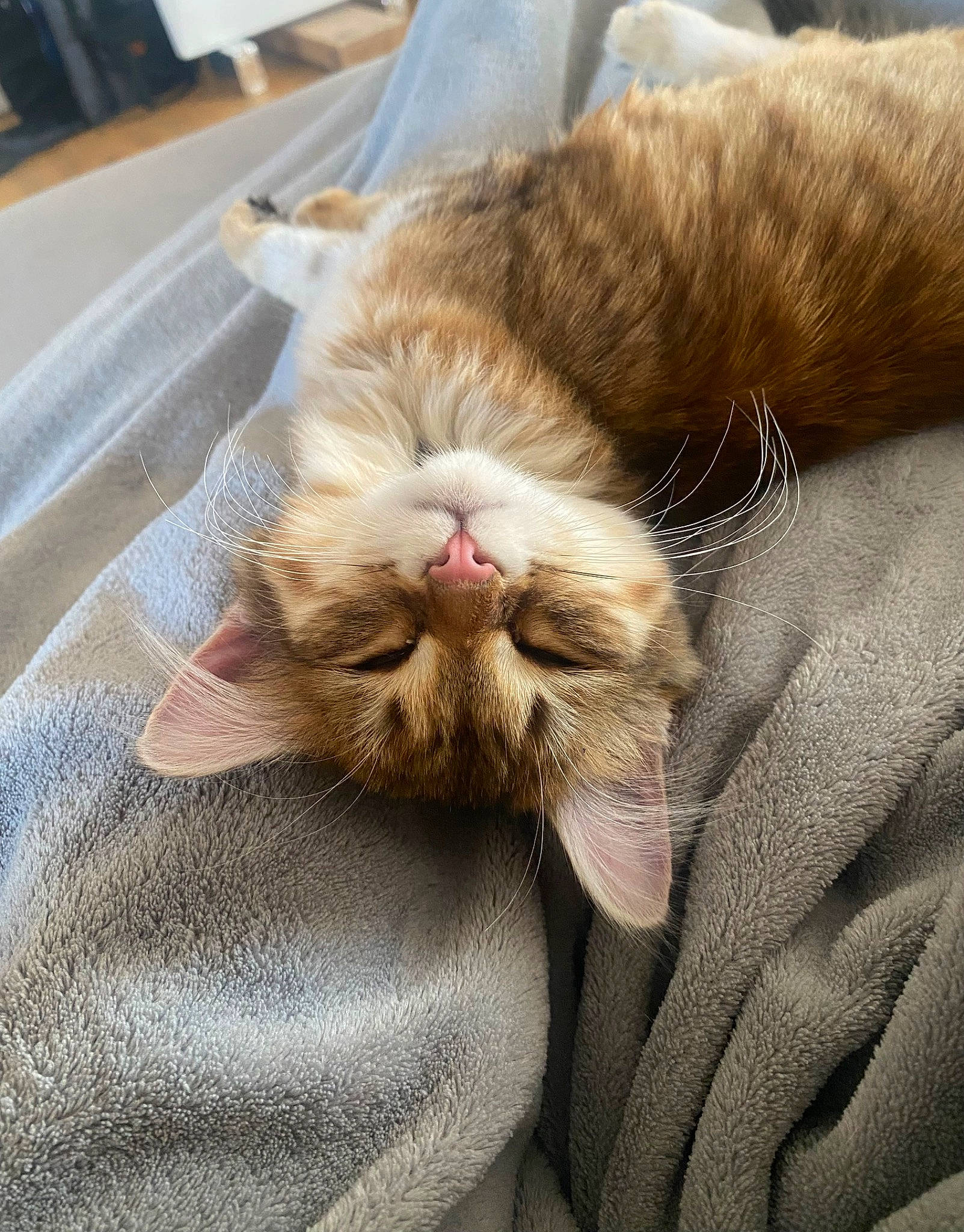 Nala