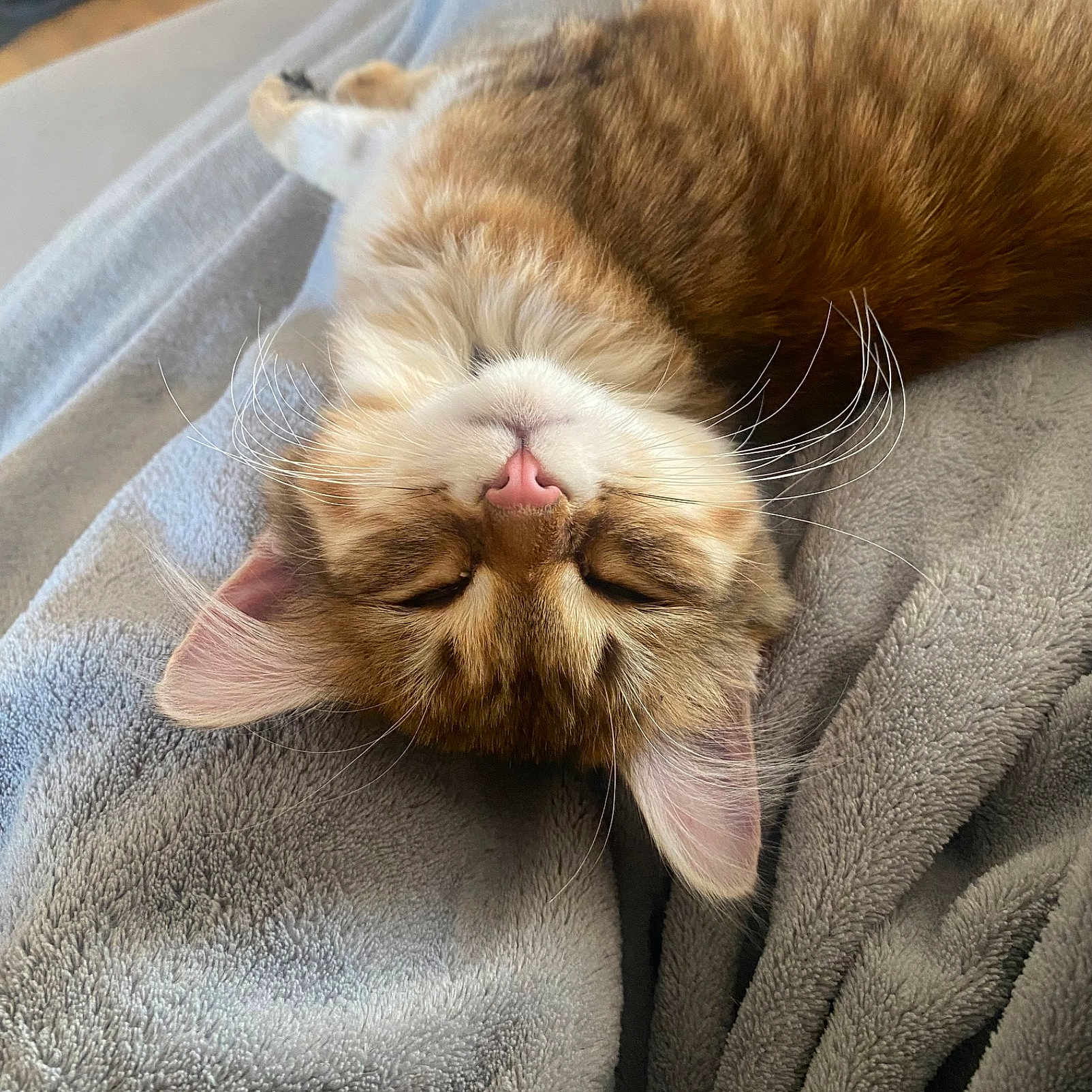 Nala