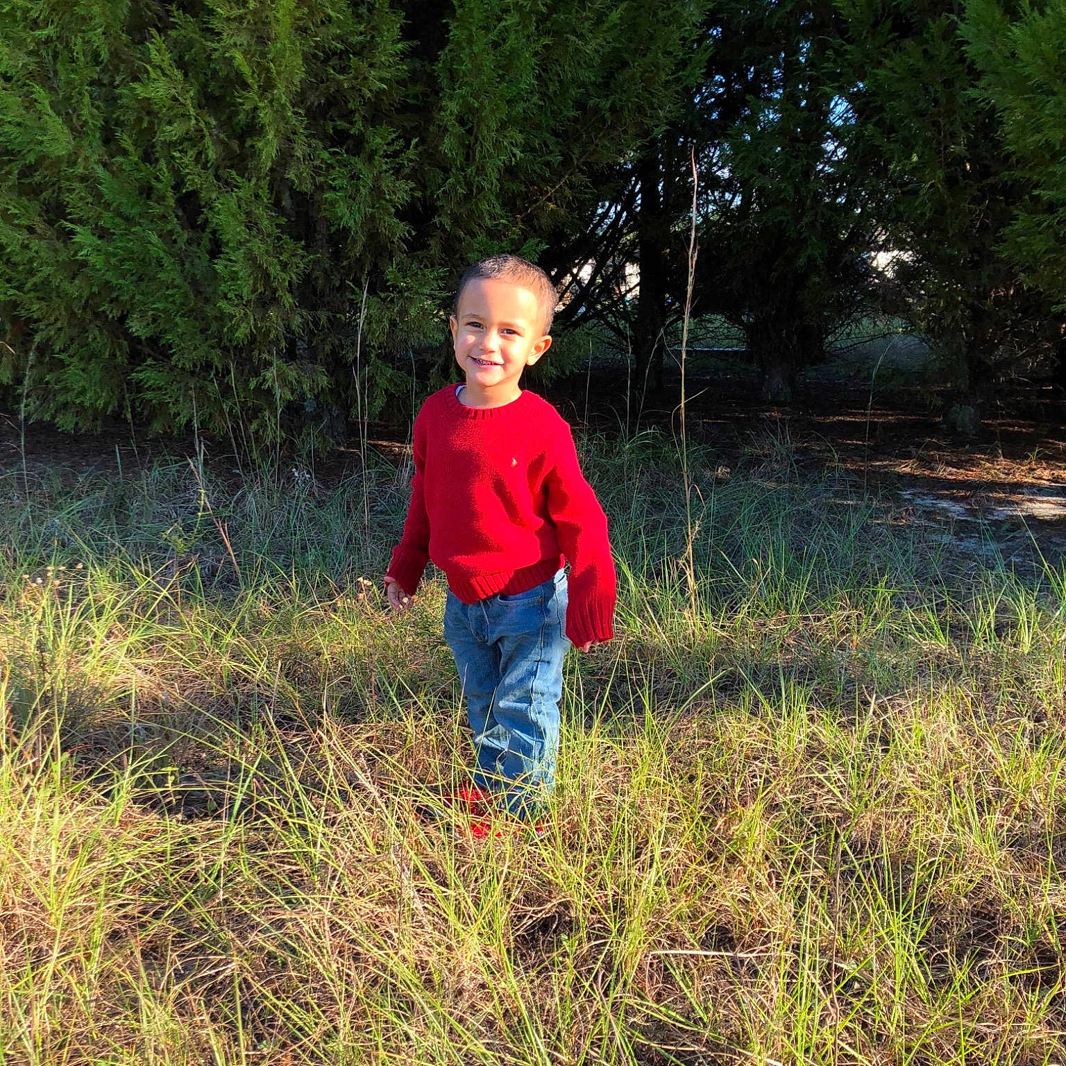 Kaizen joined the competition — help win amazing prizes! child, field, forest, fun, girl, grass, grass_family, joy, landscape, leaf, meadow, nature, path, person, plant, play, recreation, shrub, spring, toddler