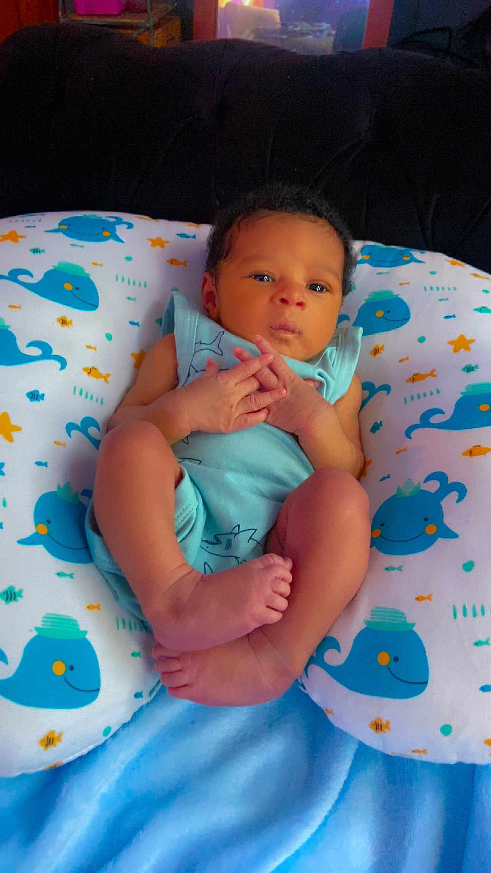 Tajari joined the competition — help win amazing prizes! baby, infant, pillow, whale_pattern, blue_blanket, clothing, face, hands, feet, indoors, person, cute, newborn, resting, young_child, soft_texture, sleeping_area, baby_garment, expression, tiny_fingers