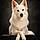 Arko