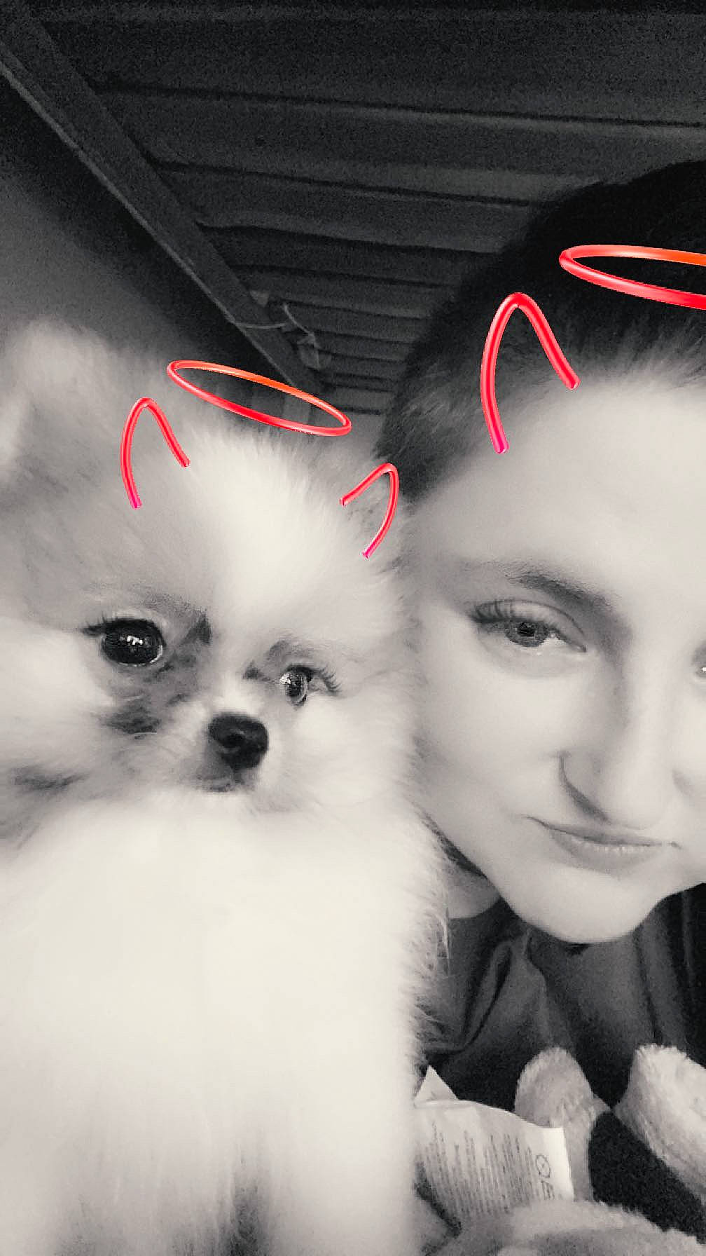 Lisa participe au concours pour gagner de l'argent avec cette photo : carnivore, child, close_up, companion_dog, dog, dog_breed, eyebrow, eyelash, fawn, flash_photography, fur, happy, iris, monochrome_photography, mouth, nose, skin, snout, toy_dog, whiskers