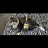 Hennessy joined the competition — help win amazing prizes! cat, bottle, hennessy, zebra_print, blanket, fur, pet, animal, relaxing, indoor, striped, brown, white, black, carpet, lying_down, domestic, cute, whiskers, paws
